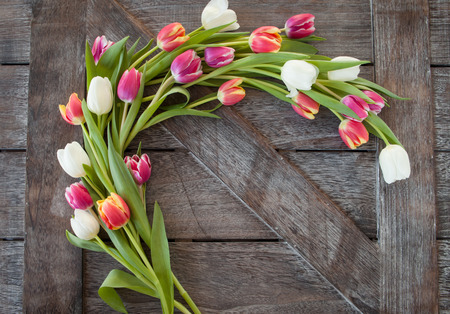 Rustic wooden background with pink, red and white tulipsの写真素材