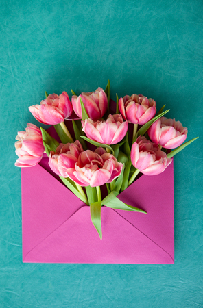 Pink envelope with fresh spring flowers on blue  backgroundの写真素材