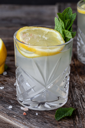 Gin Tonic with slices of lemon and fresh mint leavesの写真素材