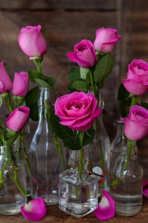 Lush pink roses in little vintage glass bottlesの写真素材