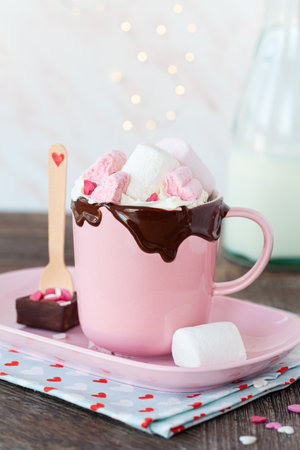 Hot chocolate with whipped cream and marshmallowsの写真素材