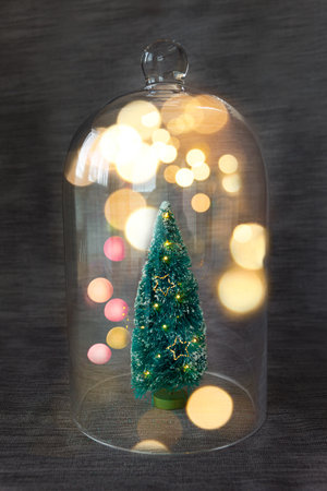 Little Christmas tree and a glass bell, Lockdown conceptの写真素材