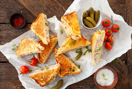 Grilled sandwich with tuna and melted cheeseの写真素材