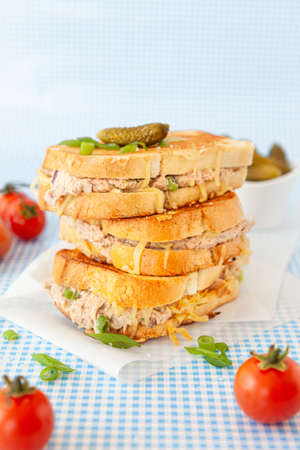Grilled sandwich with tuna and melted cheeseの写真素材