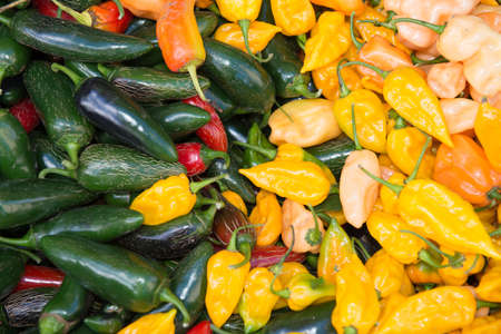 Different kinds of vegetables in a street market in Union Square, Manhattan, New York City, NY, USA.の写真素材