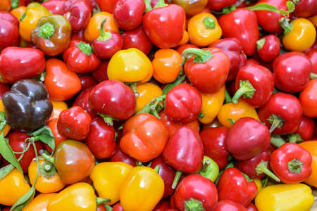 Tomatoes and peppers and other different kinds of vegetables in a street market in Union Square,...