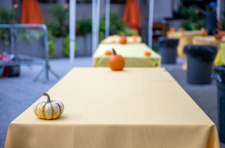 "Tables on a street market decorated with fresh pumpkins on Halloween even at Union Square in Manhattan, New York City, USA."の写真素材