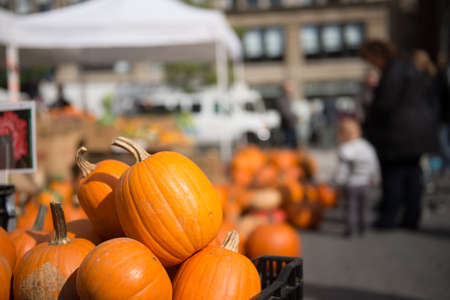Pumpkins for sale, some days before Halloween celebration, in a street market at Union Square, Manhattan, New York City, NY, USAの写真素材