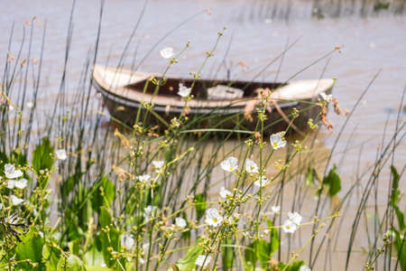 small fishing boat anchored near the coast, in the port of Juan Lacaze, Colonia, Uruguayの写真素材