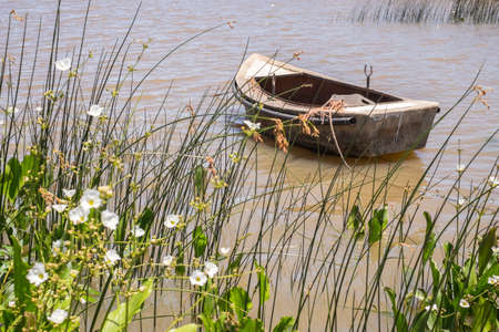 small fishing boat anchored near the coast, in the port of Juan Lacaze, Colonia, Uruguayの写真素材