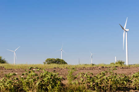 Group of modern windmills in the countryside near Tarariras, Colonia. Some plantations can be see on...