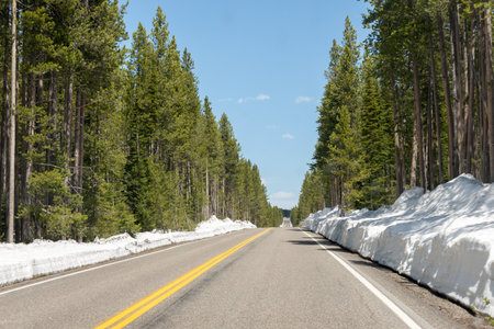 Entering to Yellowstone National Park from the south, with a road surrounded by 1 meter of snow and a line of trees on each side. Wyoming, United Statesの写真素材