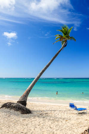 Lounge chair under a lonely palm tree right by the turquoise sea of Punta Cana, Dominican Republicの写真素材