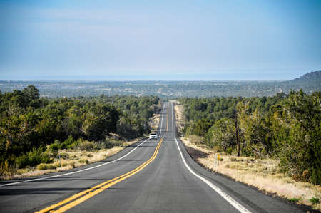 Very straight road going towards Grand Canyon National Park, with some clouds on the horizon and nice green trees on each side of the road.の写真素材