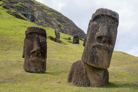 Moais at Rano Raraku volcano's slopes at Easter Island, Valparaiso, Chile.の写真素材