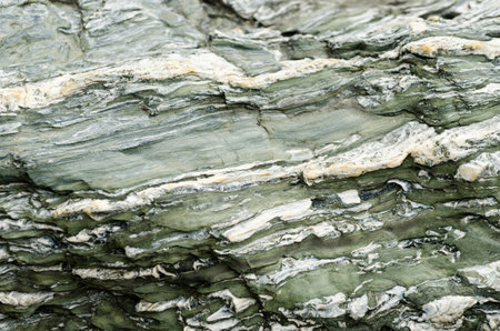 Detail of the veins and colors of the Meotoiwa rocks in Ise, Japanの写真素材
