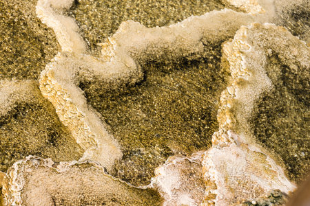 Details of the rock formations in the Mammoth Hot Springs at Yellowstone National Park, Wyoming, USAの写真素材