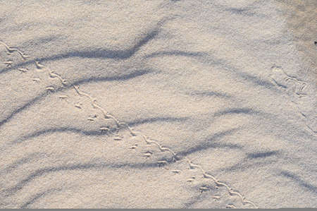 Sand patterns in Juan Lacaze's Beach, Colonia, Uruguay