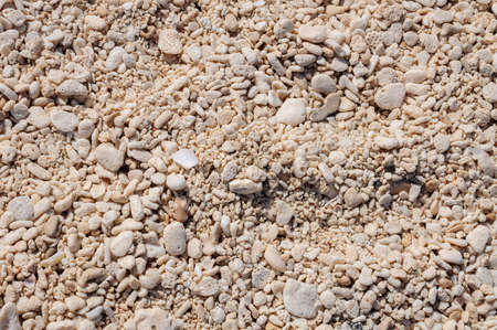 Sand made of pebbles in a beach at Cozumel Island, Quintana Roo, Mexico.の写真素材