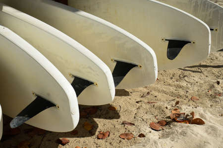 A closeup shot of white surfing boards on the beach