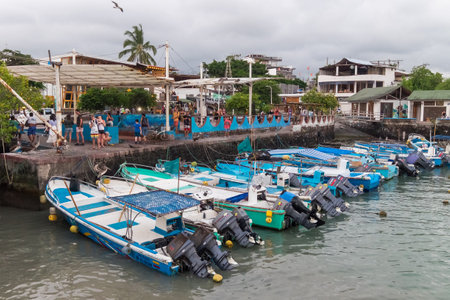 Puerto Ayora, isla Santa Cruz, Ecuador, April, 14, 2019. Some local fisherman activitiy during the afternoon at Puerto Ayora.のeditorial素材