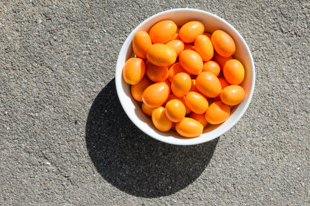 White bowl filled with small kumquats, in the sunの写真素材