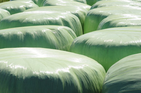 details of huge bales of alfalfa wrapped in nylon to feed cattle, under the sunの写真素材