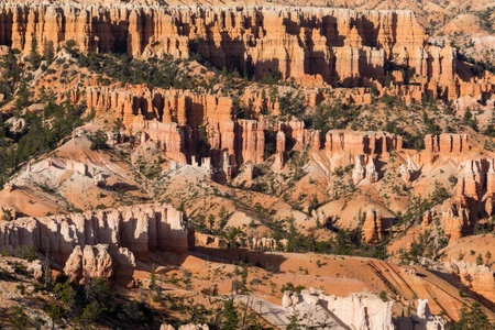 A rocky cliff with a few trees in the background. The cliff is very steep and the trees are sparseの写真素材