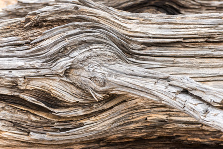 The image is of a piece of wood with a rough texture and a grainy appearance. The wood appears to be old and weathered, with a few holes and cracks visible. Scene is somewhat somber and contemplativeの写真素材