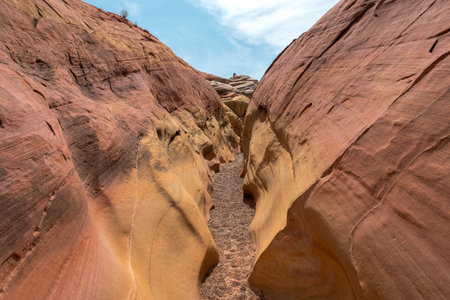 A canyon with a lot of rocks and dirt