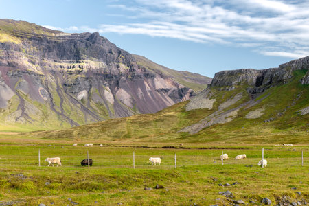 Idyllic mountain landscape with sheep grazing under a blue sky with light cloudsの写真素材