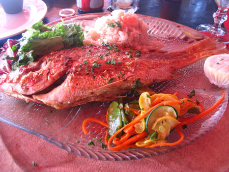Grilled whole fish with steamed vegetables, rice, and fresh herbsの写真素材