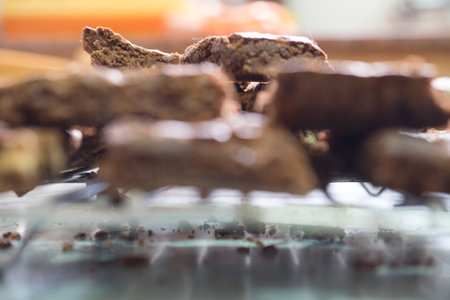 Freshly baked brownies cooling on a wire rack in kitchen setting.の写真素材