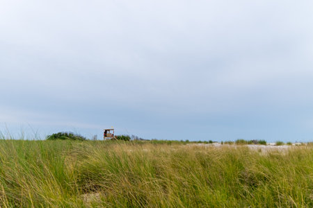 A lifeguard tower peeks over tall grasses on a serene beach under a cloudy sky.の写真素材