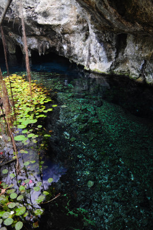 Cenote in Coba with clear turquoise waters and lush greeneryの写真素材