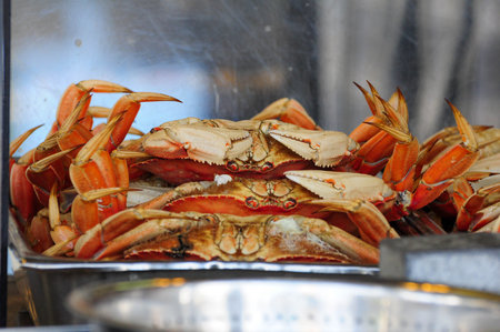 Freshly cooked crabs stacked in a tray, ready for a seafood feastの写真素材