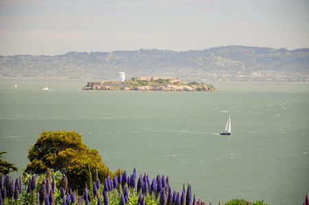 Sailboat near Alcatraz Island with lush greenery and hills in the backgroundの写真素材