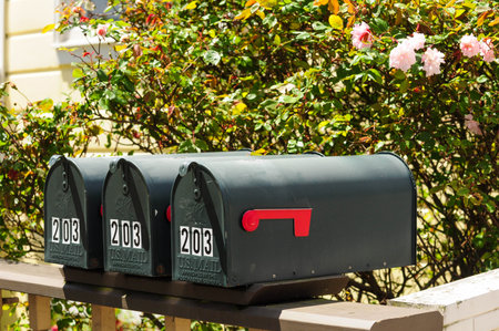 Green mailboxes against vibrant roses on a sunny suburban streetの写真素材