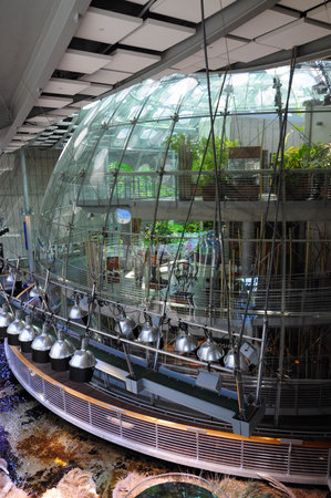 California Academy Of Sciences, California, USA. April 24, 2012: Interior view of the California Academy of Sciences in San Francisco.の写真素材