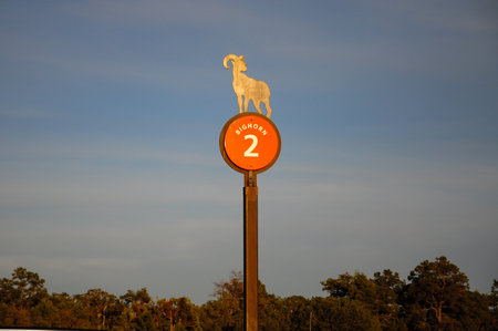 Vibrant Bighorn 2 road sign with ram silhouette against clear sky and treelineの写真素材