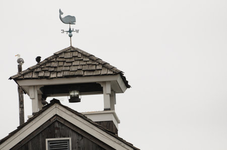 Rooftop weather vane with bird silhouette on weathered wooden structureの写真素材