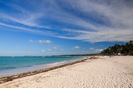 Punta Cana, La Altagracia, Dominican Republic. May 10, 2012: Sandy beach and palm trees under a clear blue sky in Punta Cana, Dominican Republic.の写真素材