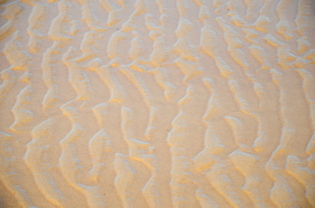 Rippled sand patterns on sunlit beach, Juan Lacaze, Colonia, Uruguayの写真素材