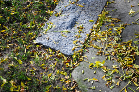 Autumn leaves scattered on a stone pathway surrounded by lush green grass.の写真素材