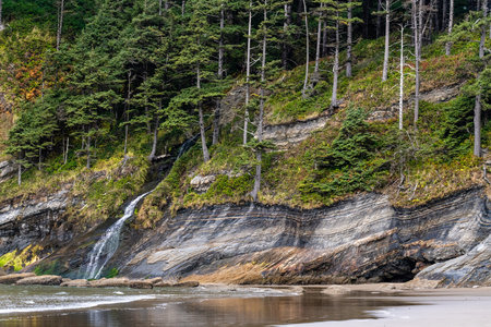 A rocky shoreline with a waterfall and a forest in the backgroundの写真素材
