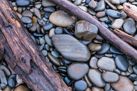 A large piece of driftwood is laying on a rocky beach. The driftwood is surrounded by a variety of small rocks, some of which are scattered around it and others are piled up in a small areaの写真素材