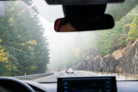 A person is driving a car with a view of a forest and a hill. The car has a GPS system and a...