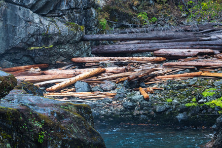 A rocky shoreline with a stream of water running through it. The water is murky and the rocks are covered in moss. The scene is peaceful and serene.の写真素材