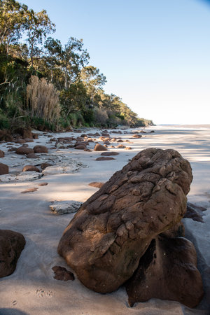 Serene beachscape with rugged rocks and lush greenery under a clear sky.の写真素材