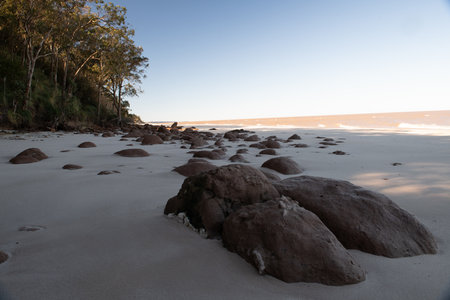 Rocky beach with boulders and trees along sandy shore under a clear blue skyの写真素材